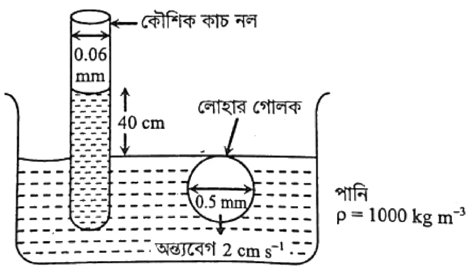 পদার্থের গাঠনিক ধর্ম সৃজনশীল প্রশ্ন ৪১ — উদ্দীপকের চিত্র