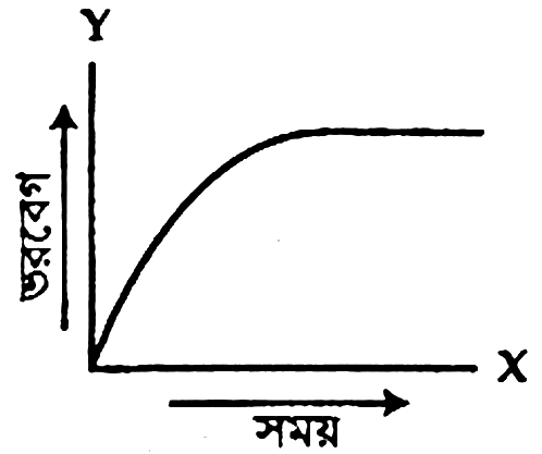 চিত্র