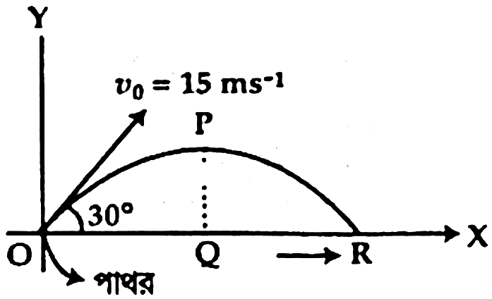 চিত্র