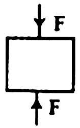 চিত্র