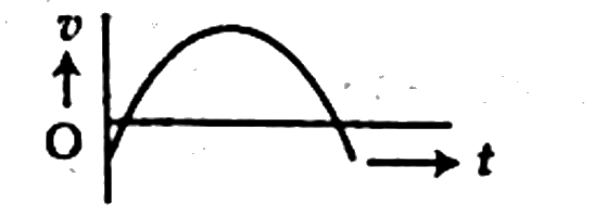 চিত্র