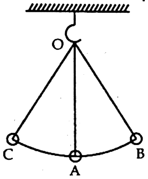 চিত্র