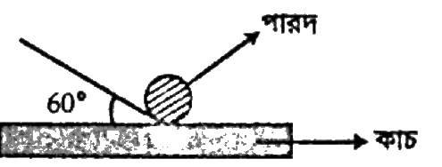 চিত্র