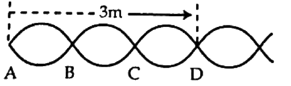 চিত্র