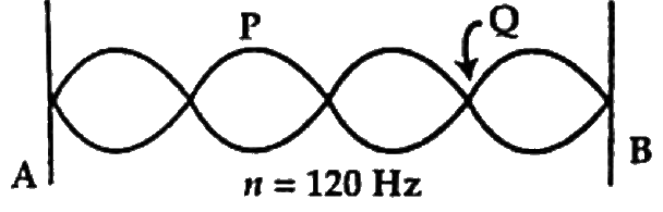 চিত্র