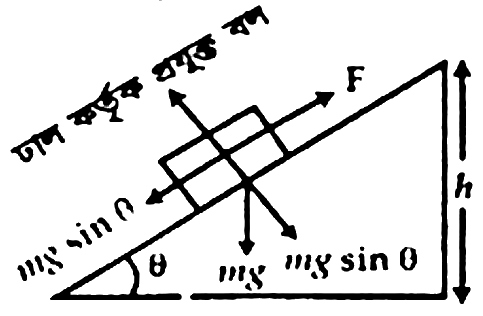 চিত্র