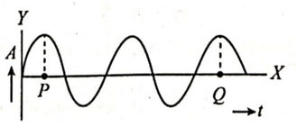 চিত্র
